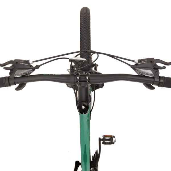 Bug mountain 24 verde 5 Bug Mountain 24