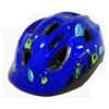 CASCO EVOL KAKU (10) Casco Evol Kutti