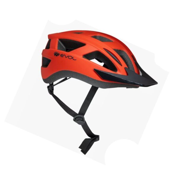 CASCO EVOL KAKU (6) Evol Kaku