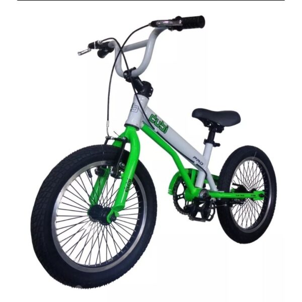 Dubi Pro