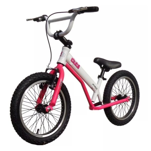 Dubi Pro