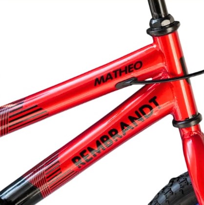 Rembrandt Matheo 12
