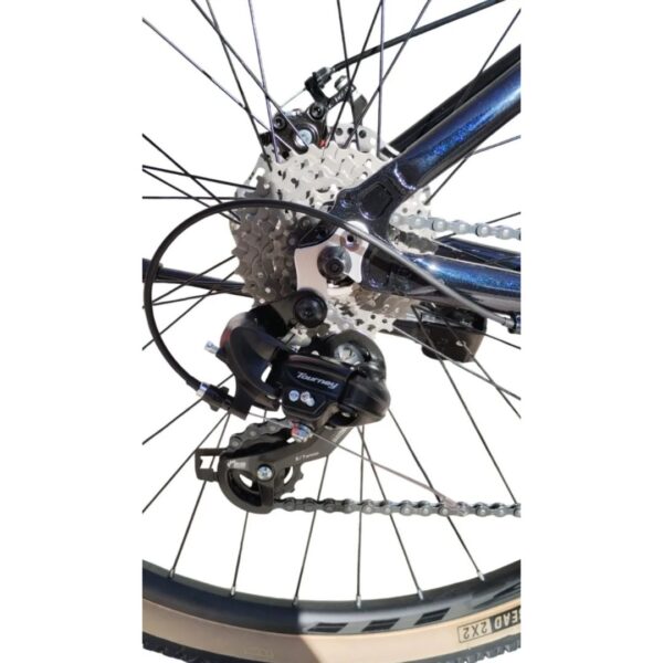 zion frisk (2) Zion Frisk