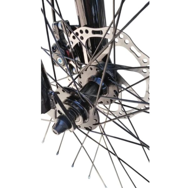 zion frisk (6) Zion Frisk